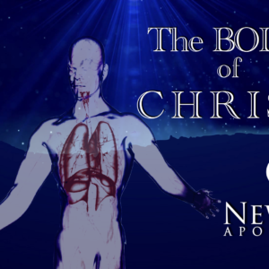 New Sermon Series – The Body of Christ
