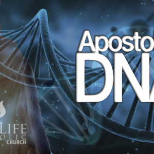 Apostolic DNA Sermon Series